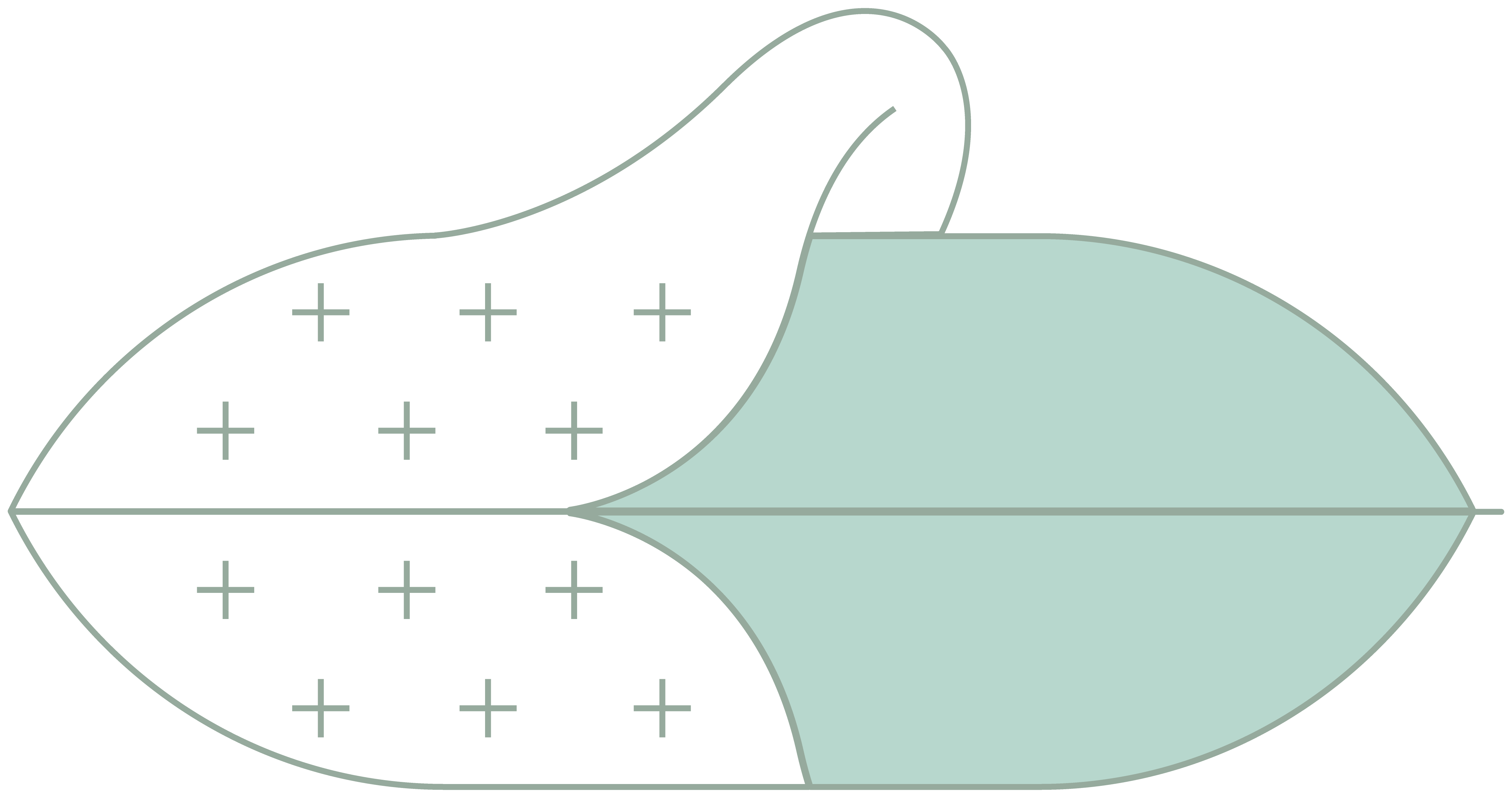 Icona-jersey-expan